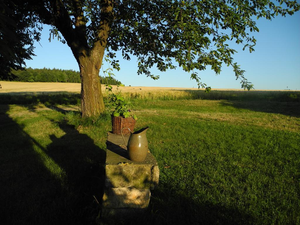 Alte Scheune Rietzschelhof Muglitztal Buitenkant foto
