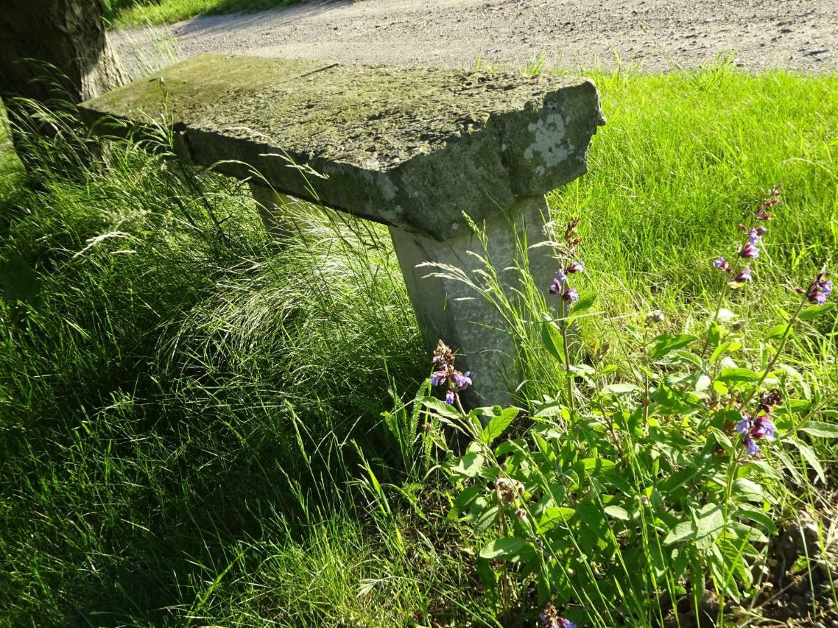 Alte Scheune Rietzschelhof Muglitztal Buitenkant foto